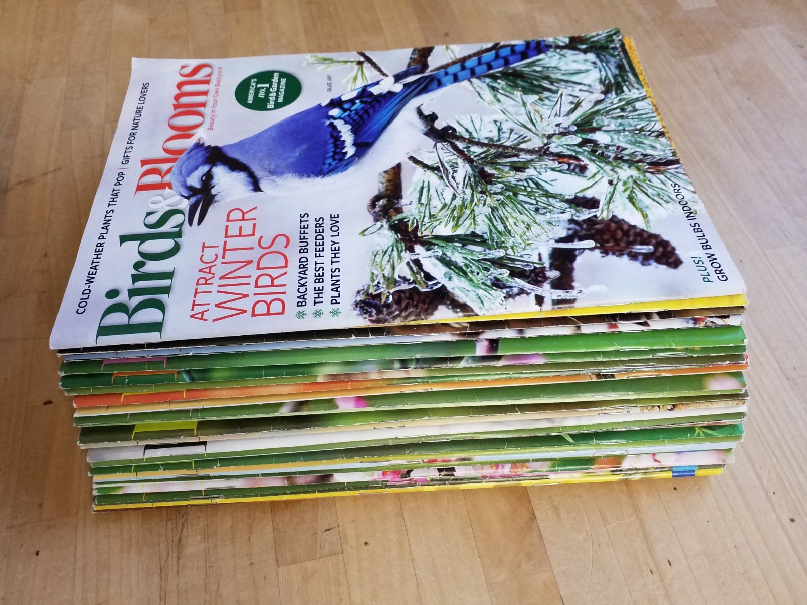 Birds & Blooms Magazine Lot of 25 2018-2024 Mixed Bundle GREAT