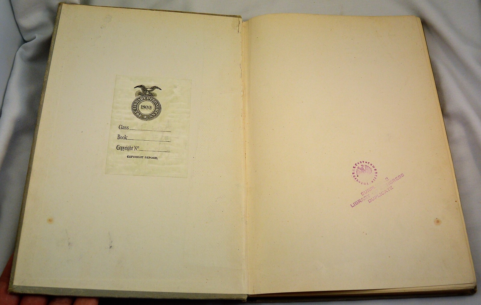 REBEL PRIVATE Front and Rear Rare First Edition Civil War Military Texas Brigade