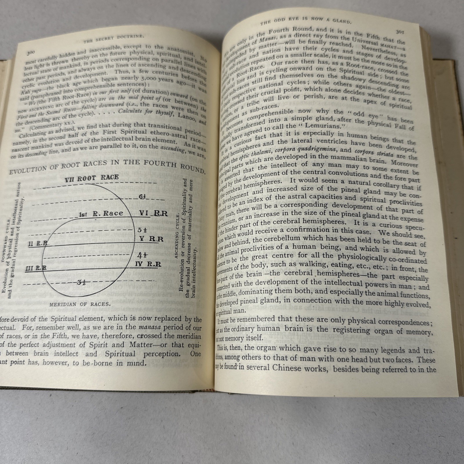 The Secret Doctrine HP Blavatsky 1888 First Edition Theosophy Book RARE Occult