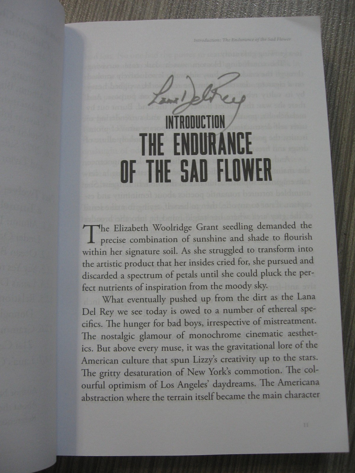 LANA DEL REY – F’ED MY WAY TO THE TOP BIOGRAPHY – RARE OOP PAPERBACK – 2024