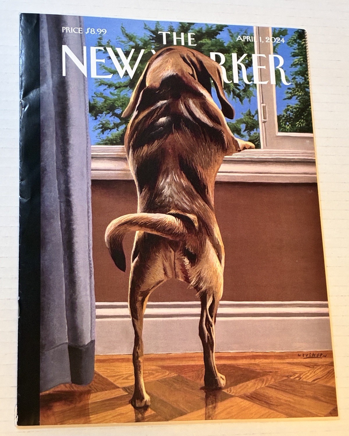 THE NEW YORKER Magazine Lot Of 11 From 2023/2024 No Labels