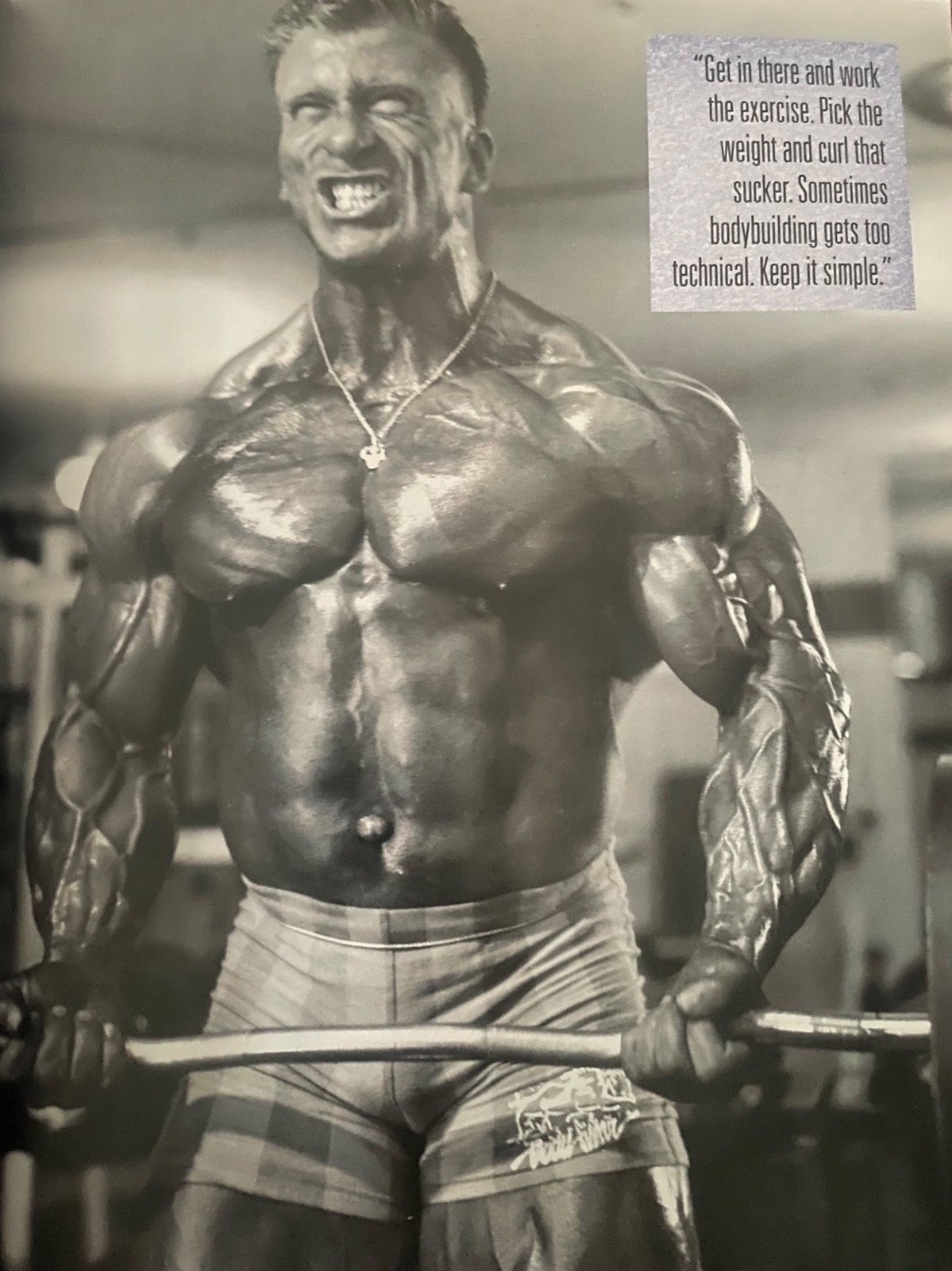 Muscular Development Jul 1995 Milos Sarcev Craig Titus Roland Cziurlok Dorian
