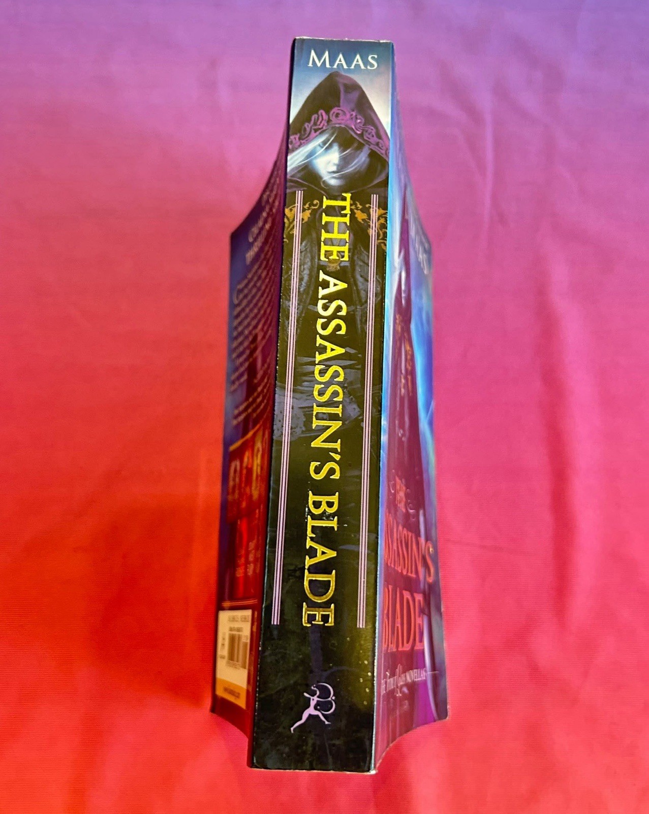 The Assassin’s Blade Sarah J. Maas Throne of Glass Novellas Paperback Book