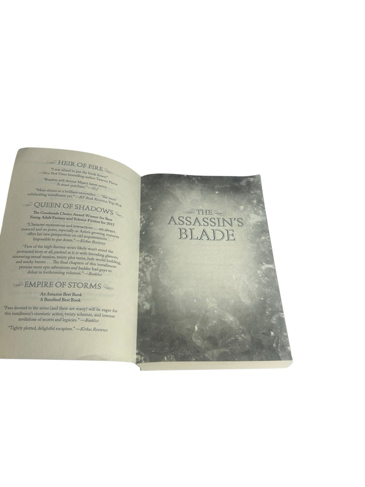 The Assassin’s Blade Sarah J Maas 2015 OOP Cover Clean Print Paperback