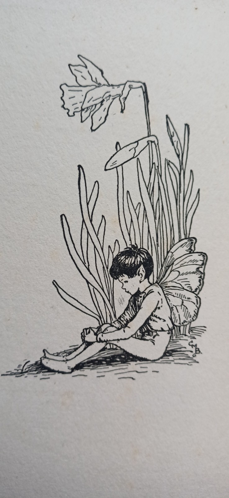 1st ed C1924 Cicely Mary Barker Flower fairies of the Spring music Tipped In