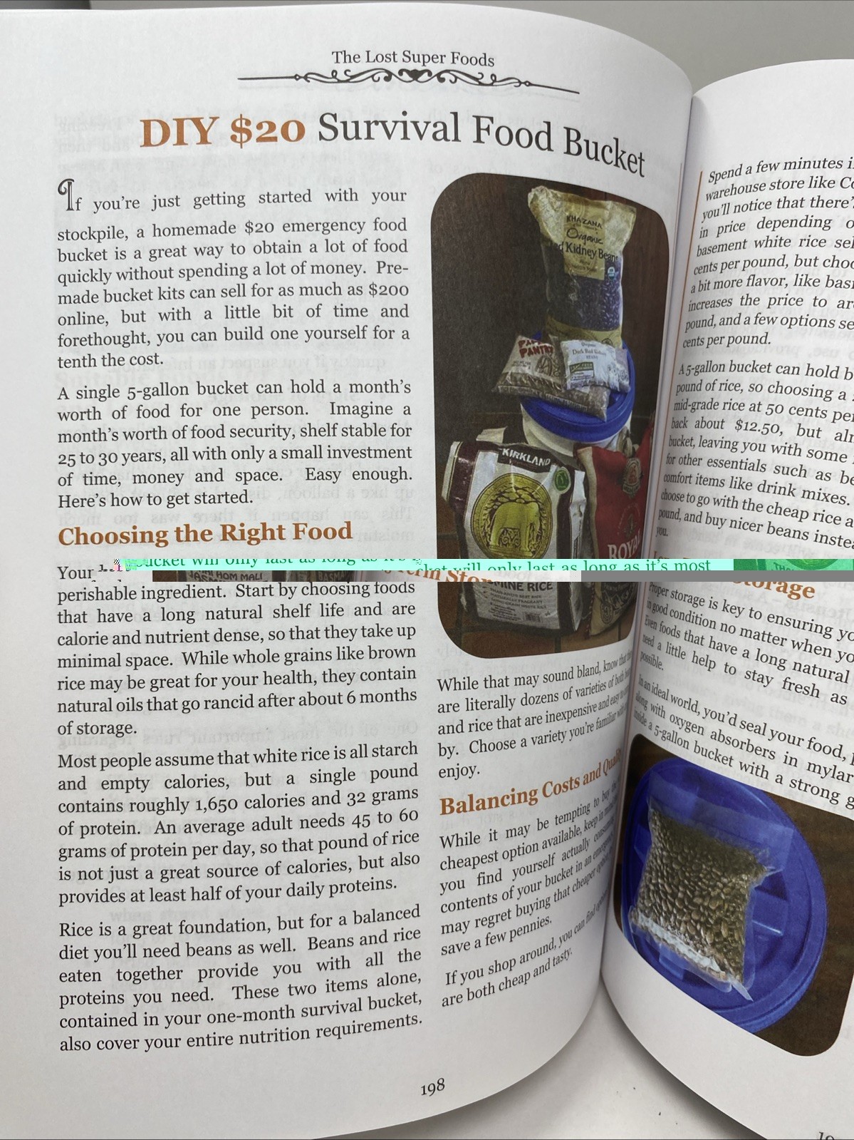 The Lost SuperFoods (2021 Paperback) — 126+ Survival Foods & Tips • Claude Davis