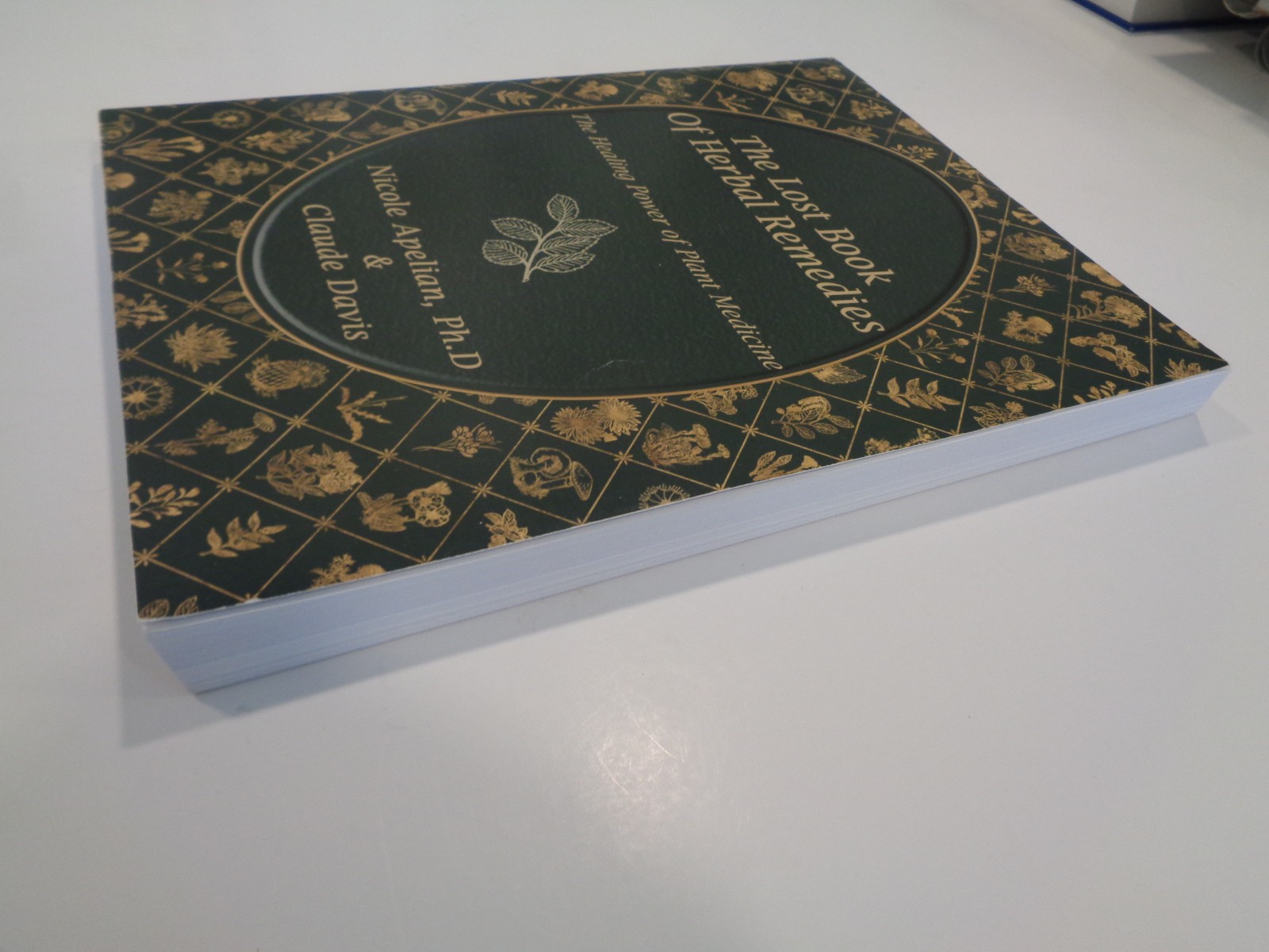 The Lost Book of Herbal Remedies by Claude Davis and Nicole Apelian Home Cures