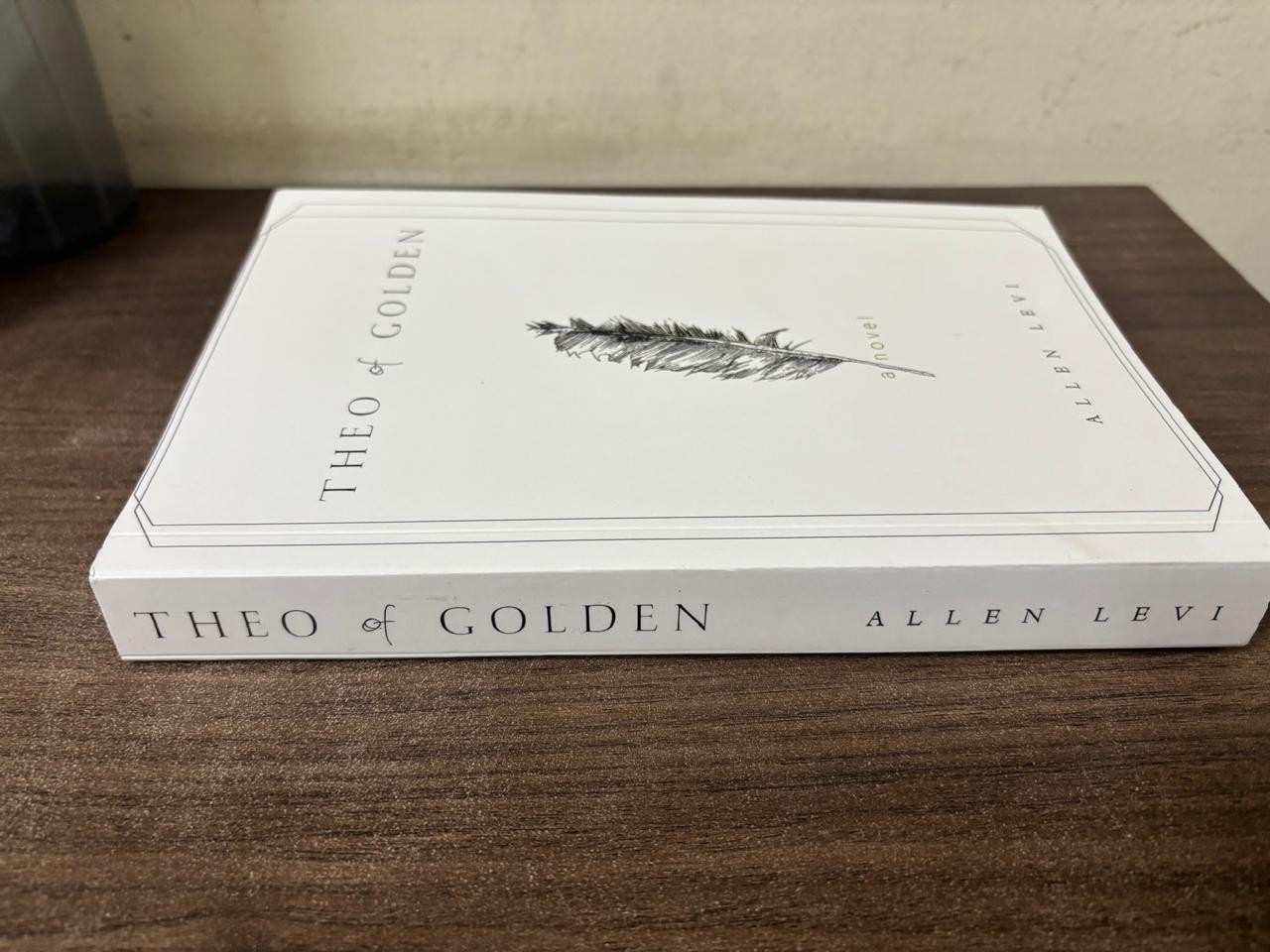 Theo of Golden Paperback by Allen Levi New book.