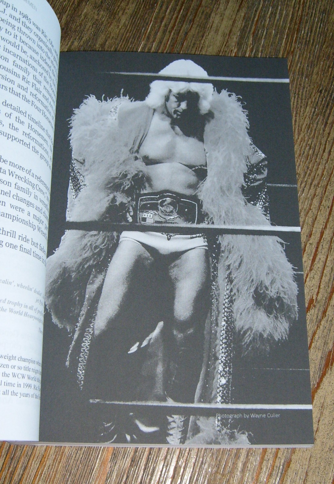 Four Horsemen by Dick Bourne 2017 Ric Flair Arn & Ole Anderson Pro Wrestling