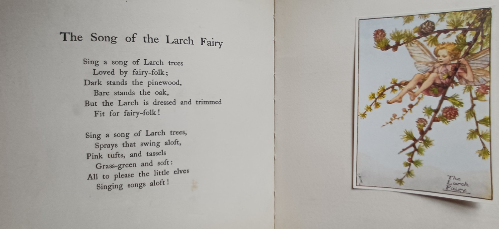 1st ed C1924 Cicely Mary Barker Flower fairies of the Spring music Tipped In