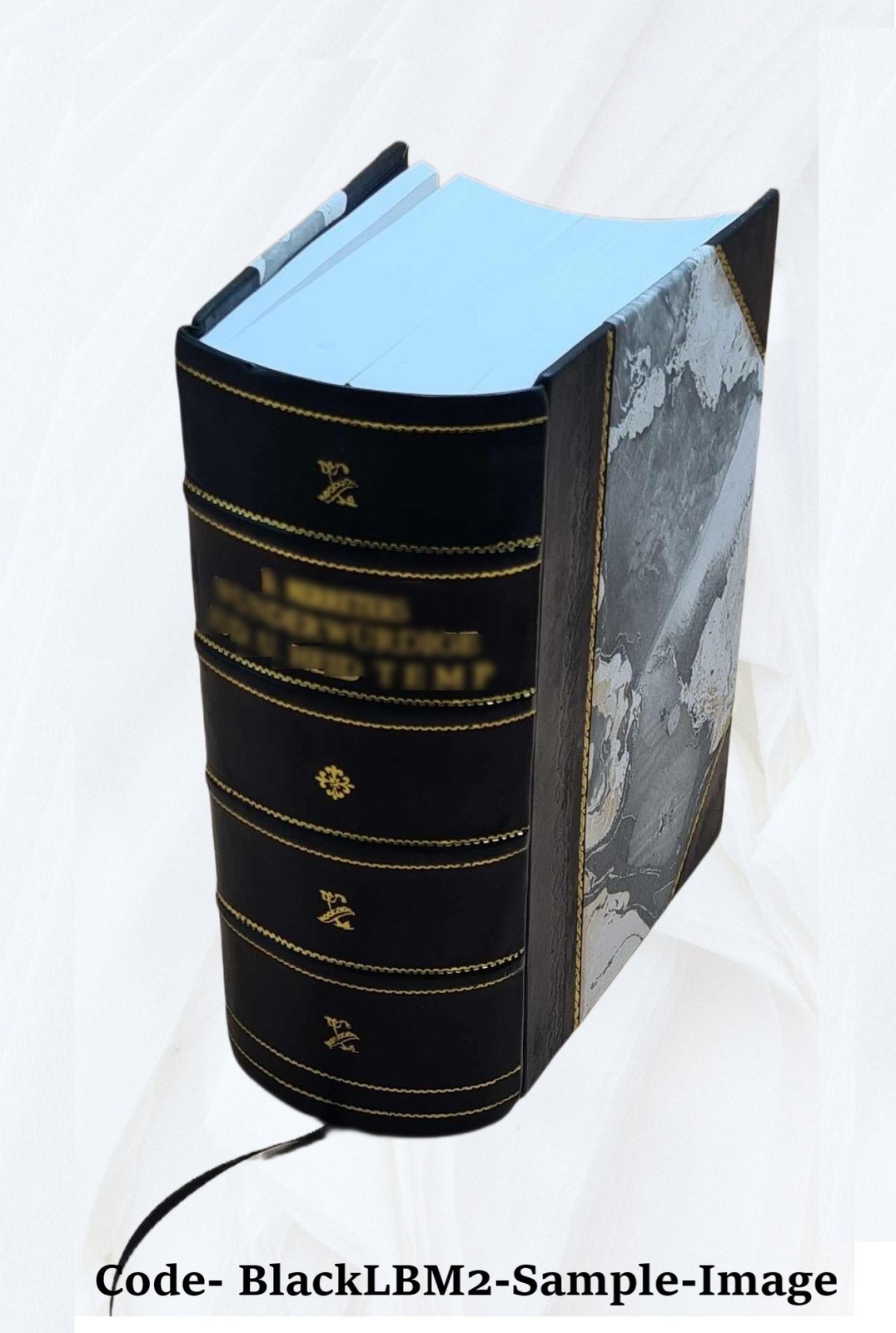 American Lumbermen The Personal History And Public And Business [Leather Bound]
