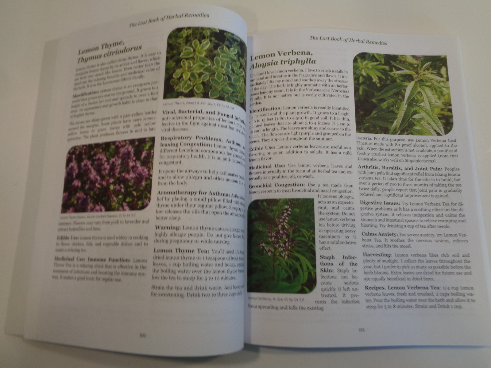 The Lost Book of Herbal Remedies by Claude Davis and Nicole Apelian Home Cures