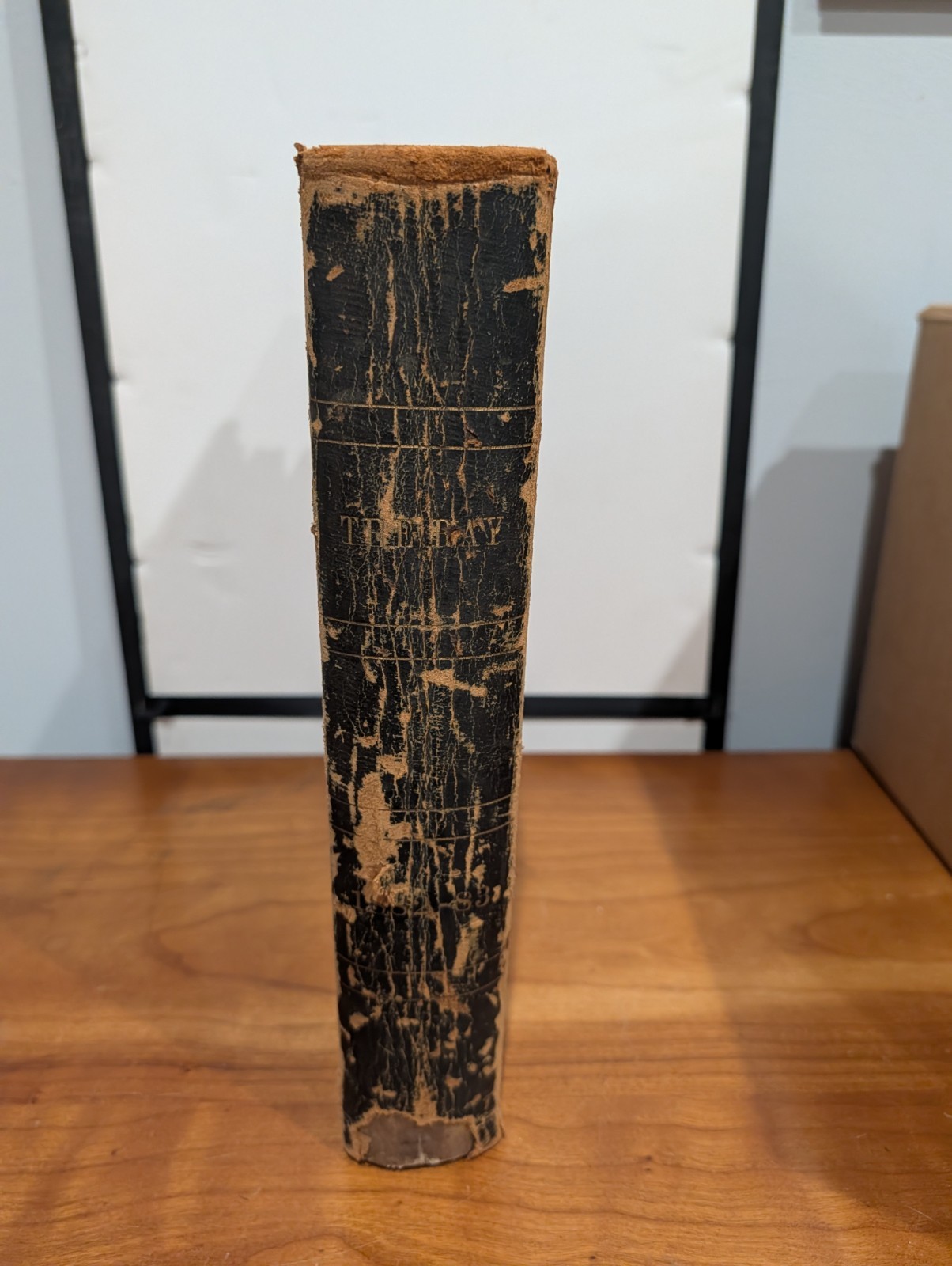 Antique 1882-1883 The Ray Bound Volume – Boston Theatre History & Ephemera VG