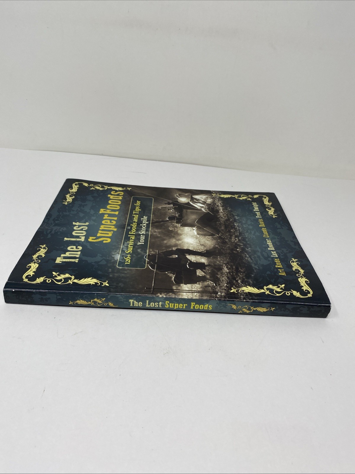 The Lost SuperFoods (2021 Paperback) — 126+ Survival Foods & Tips • Claude Davis