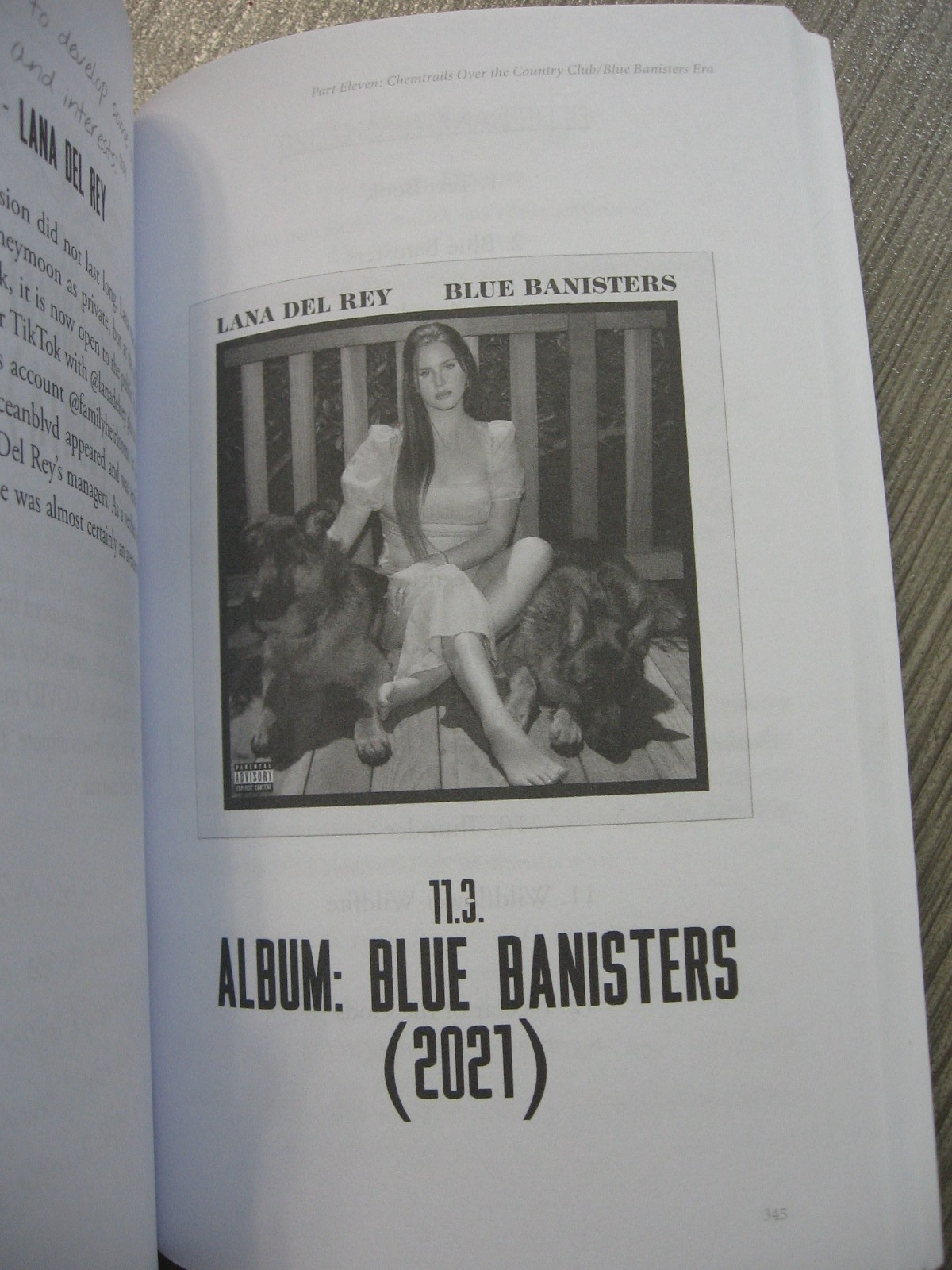 LANA DEL REY – F’ED MY WAY TO THE TOP BIOGRAPHY – RARE OOP PAPERBACK – 2024