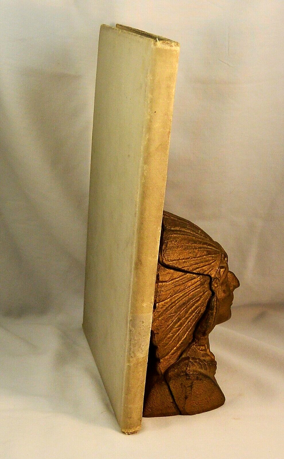 REBEL PRIVATE Front and Rear Rare First Edition Civil War Military Texas Brigade