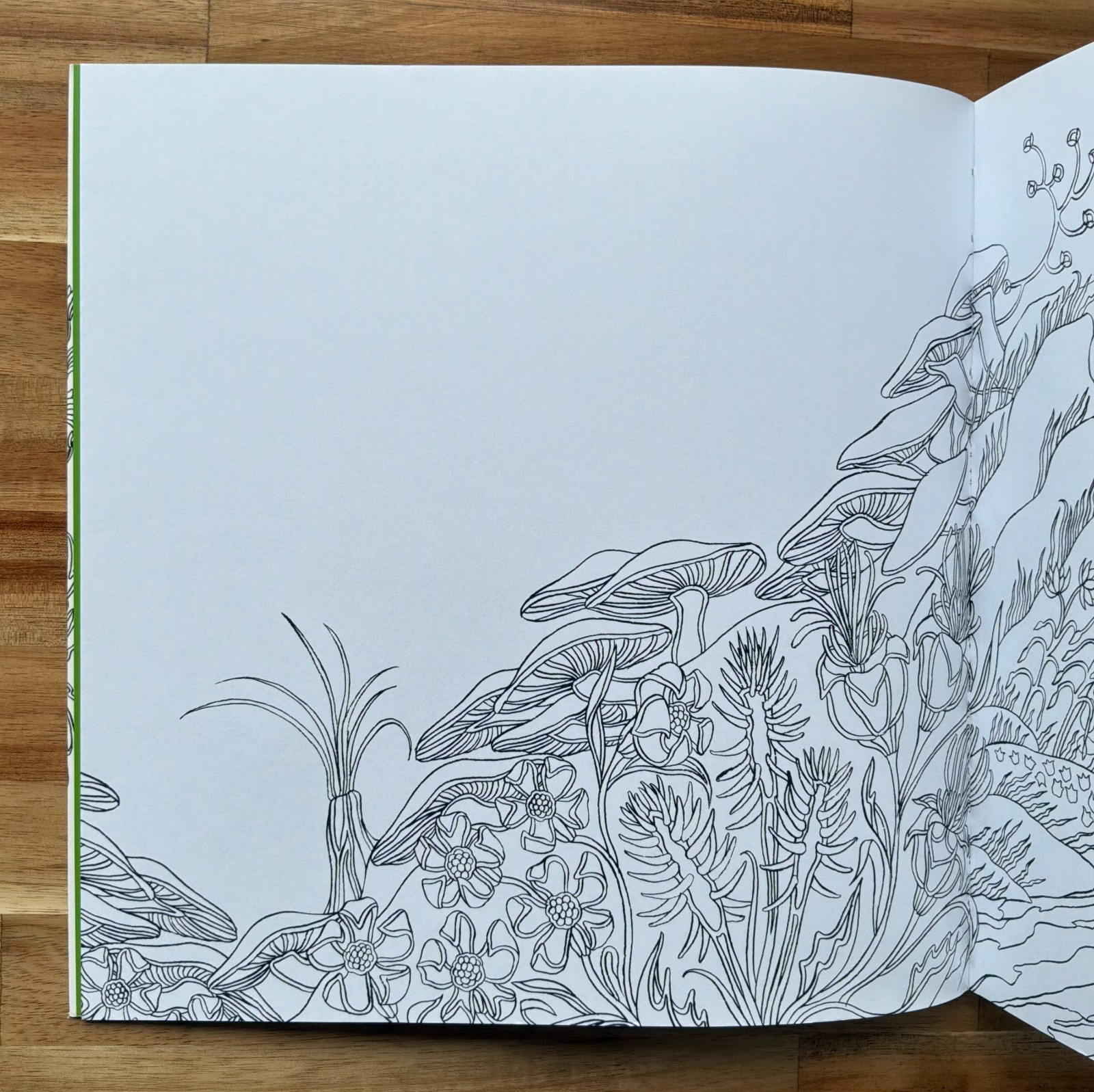 Elves in Wonderland colouring book by Marcos Chin